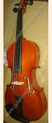 Violin economico 3